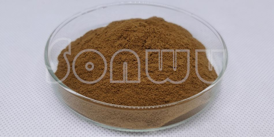 Rhodiola rosea extract powder