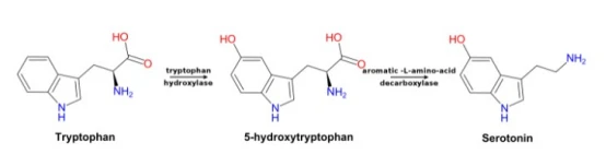 5-htp 5-htp