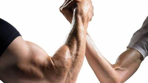 Urolithin A 8 Methyl Ether Promotes Muscle Health