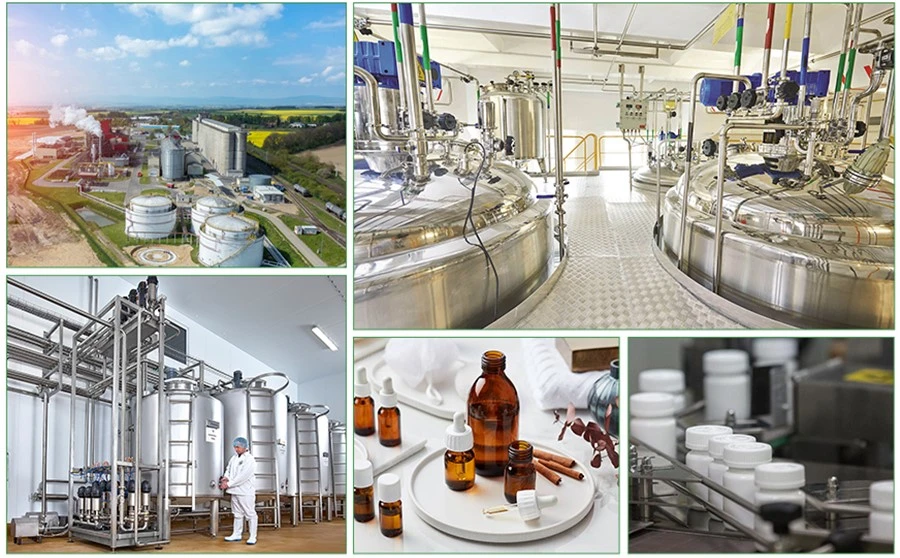 VK5211 Powder factory VK5211 Powder factory