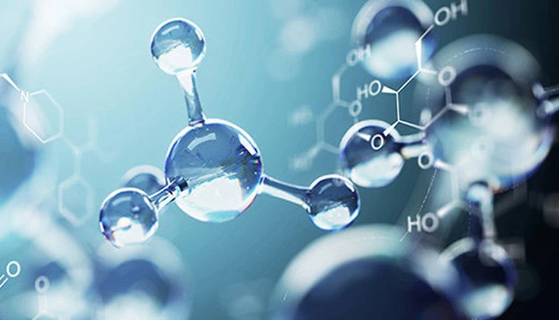 Antioxidant activity Antioxidant activity