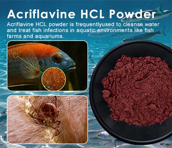 Poté, co se krvácení ryb zlepšilo, se to znovu opakovalo! Věnujte pozornost t...