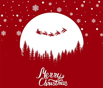 Dnes jsou Vánoce. Naučte se 4 druhy vánočního jídla a přejte své rodině bezpe...