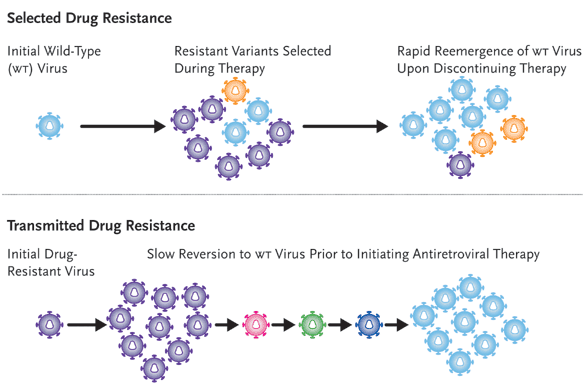 HIV Resistance Testing HIV Resistance Testing
