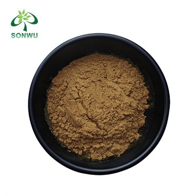 LIONOVÝ HANE VÝTON